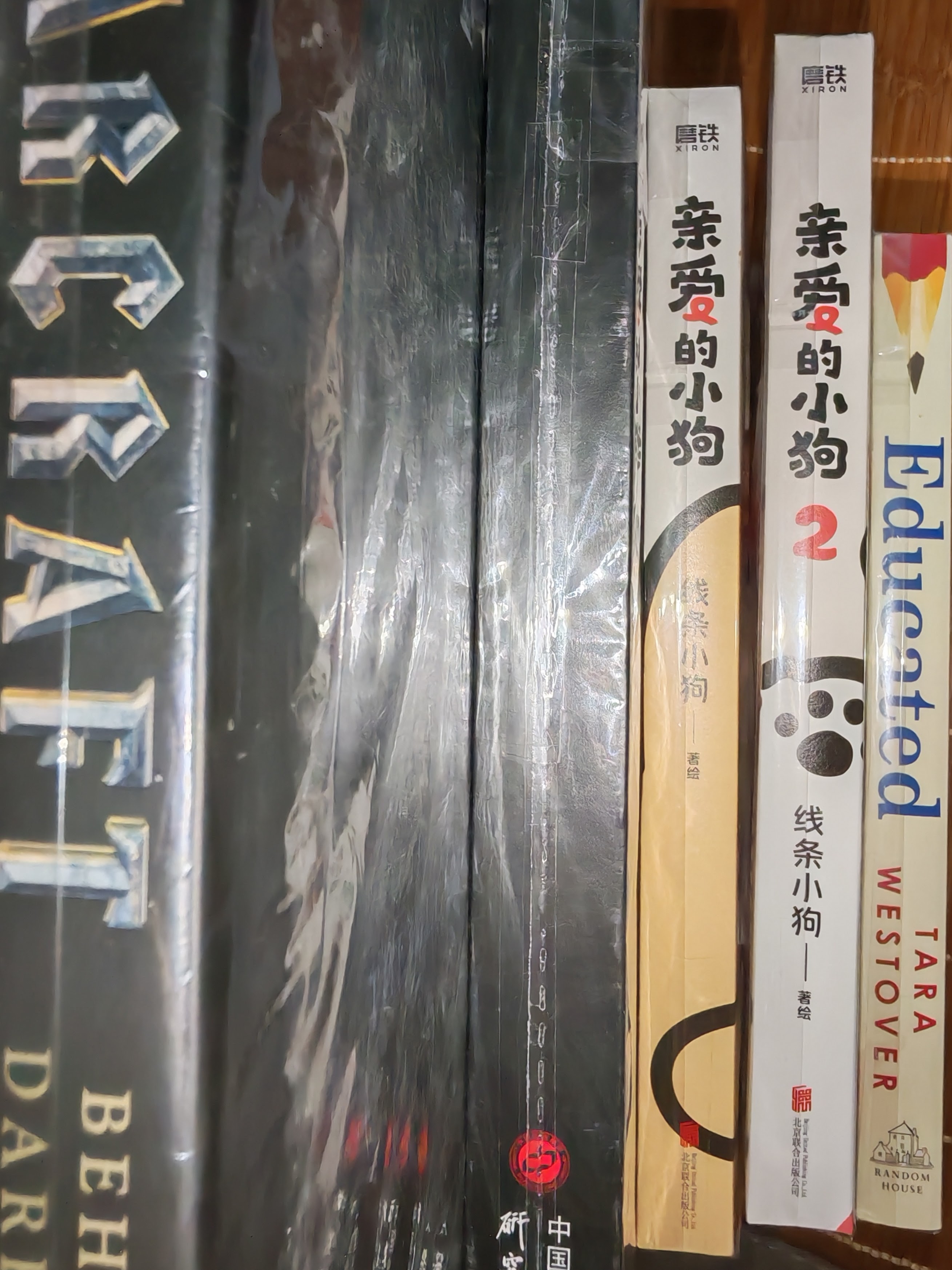 书脊特写，右侧是 Educated